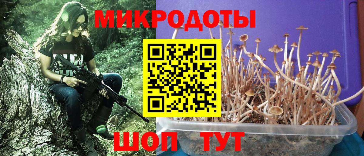 Псилоцибиновые грибы MAGIC MUSHROOMS  Галлюциногенные грибы Psilocybe  Вход с VPN  Шахты 