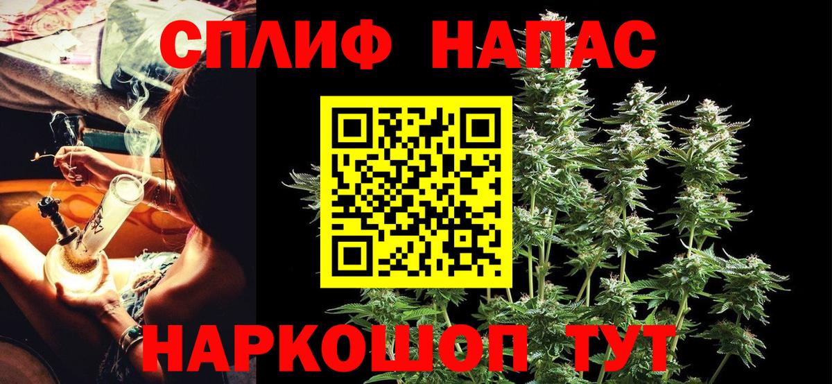 Канабис гибрид Шахты